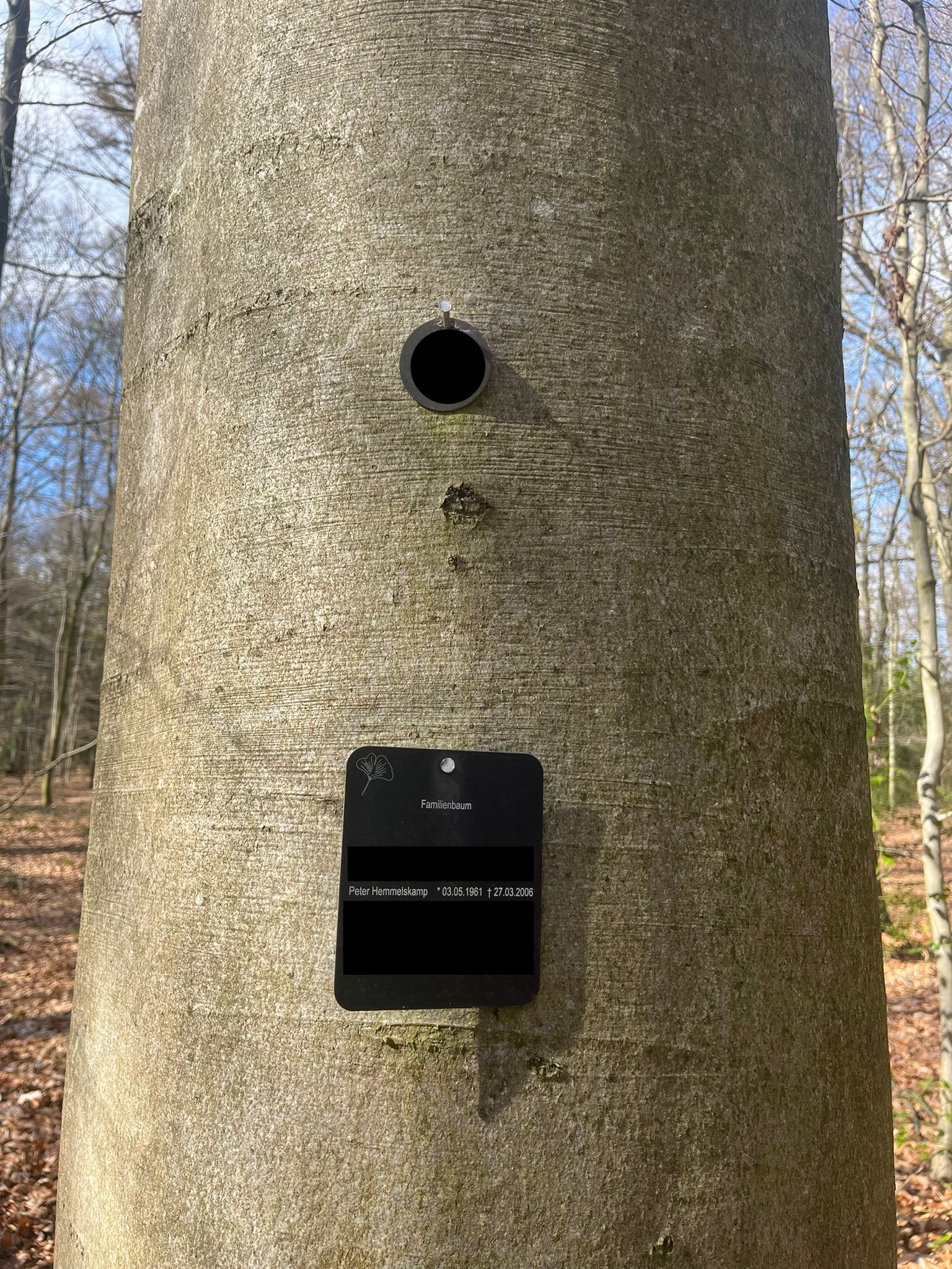 Grabstätte von Peter Hemmelskamp